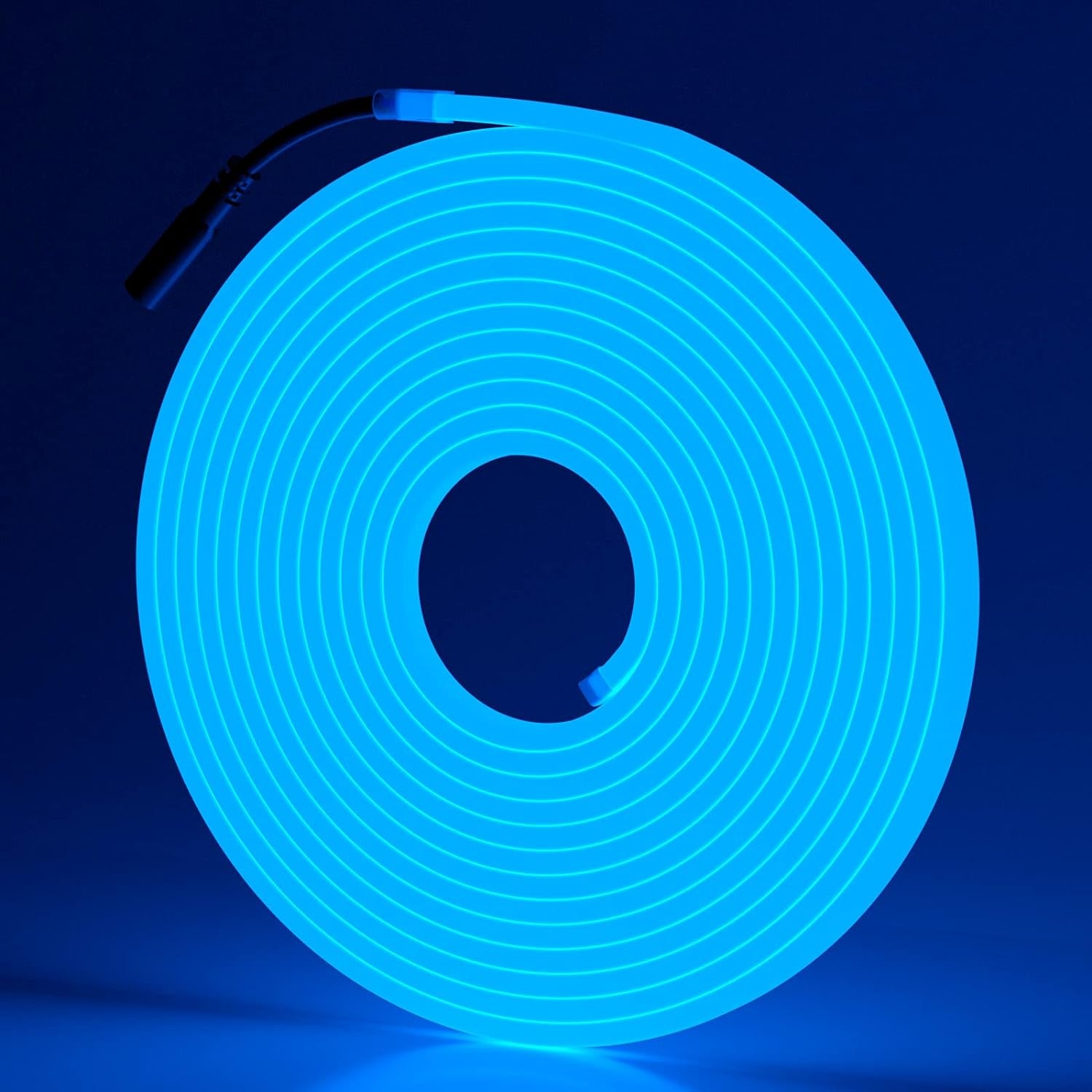 Neon Lights, 16.4Ft/5M Led Rope Lights for Bedroom, 12V DC Flexible Led Strip Lights Waterproof Neon Flex, Silicone Blue Decor for Indoor Outdoor Home Patio Room Kithchen(No Power Adapter)